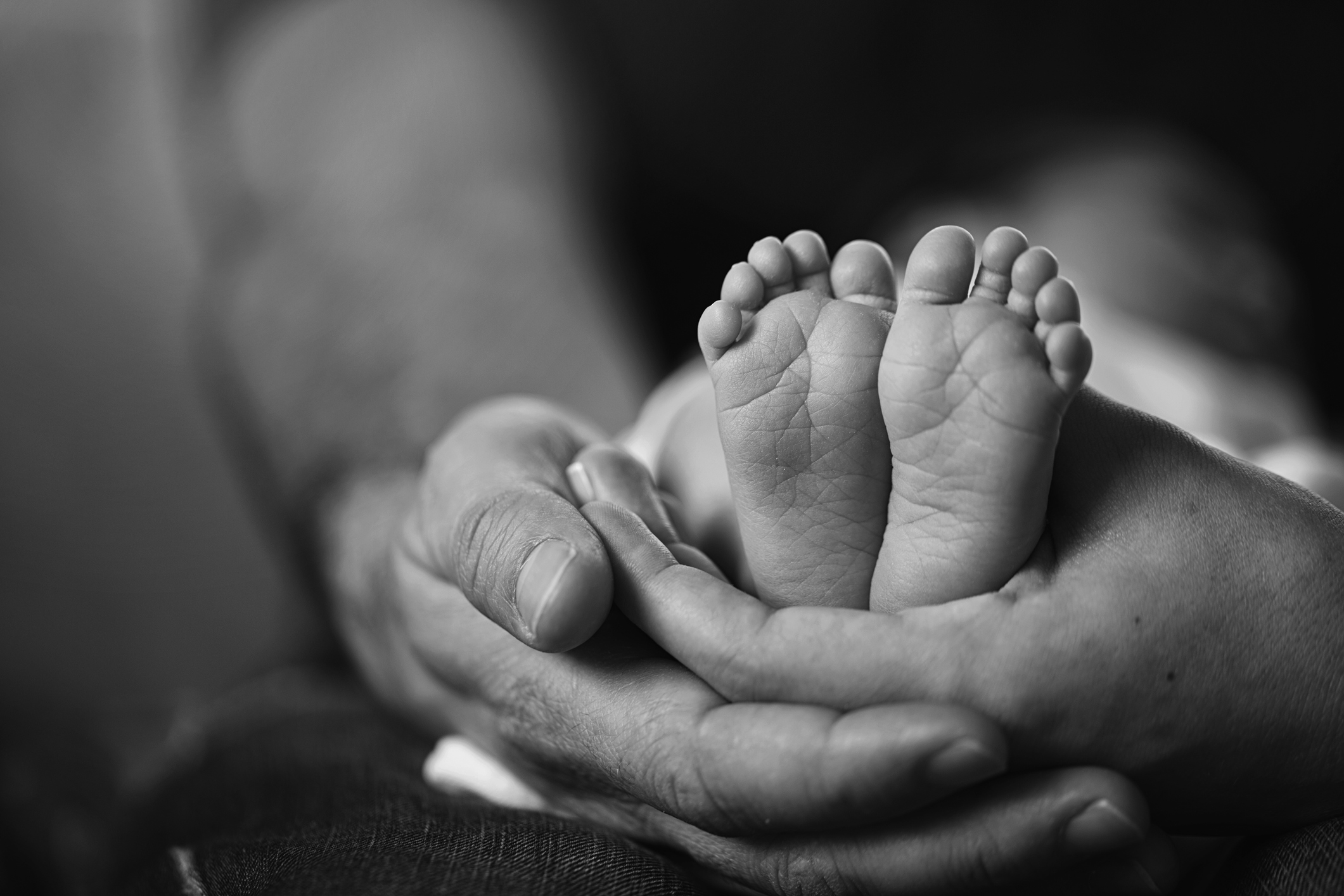 Baby feet in the adoptive parents hands